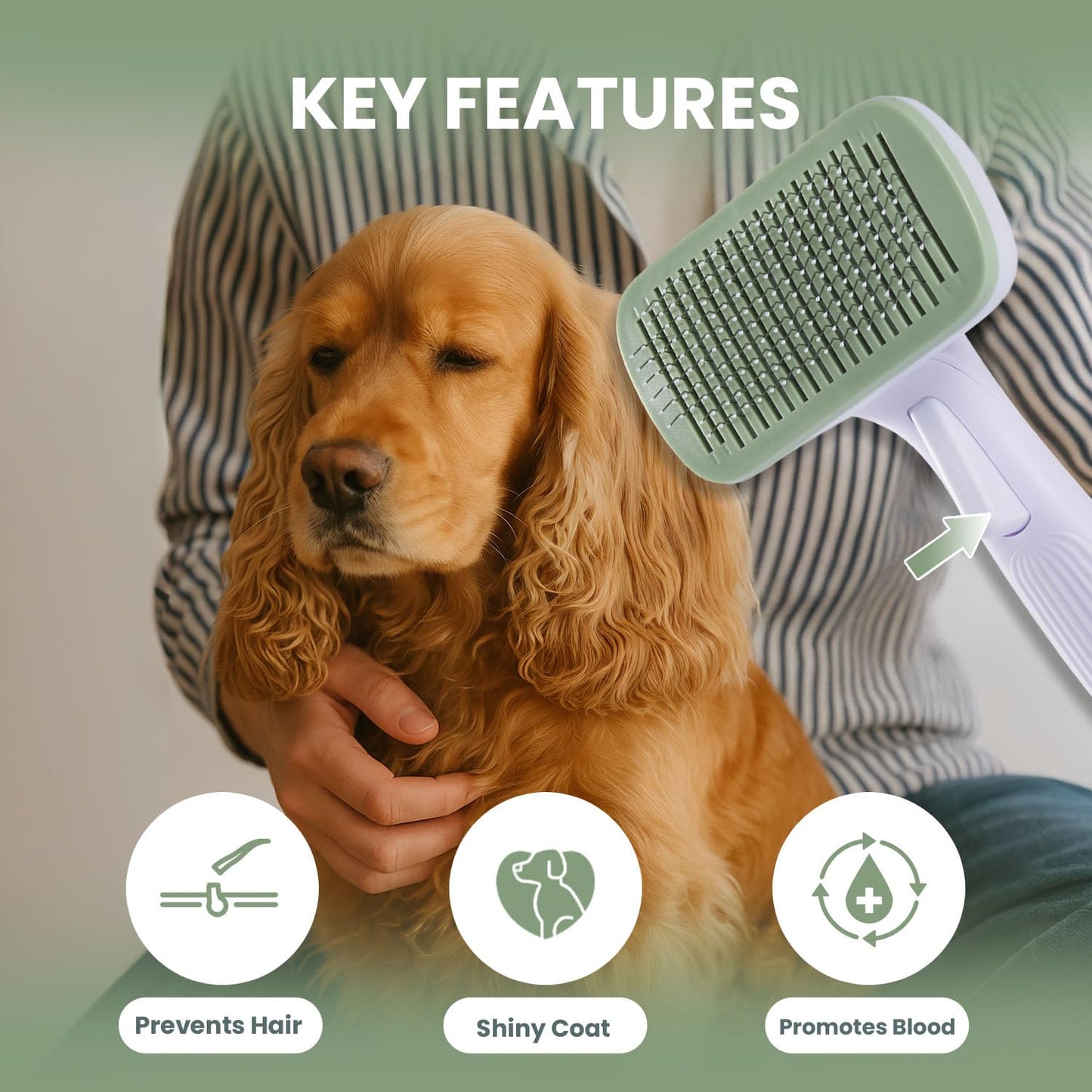 Self Cleaning Slicker Brush for Dogs & Cats, Deshedding Dog Brush